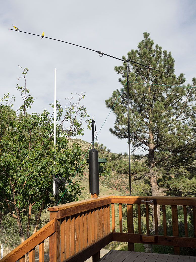 Buddipole with goldfinches